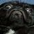 Dave Walderbach's profile image