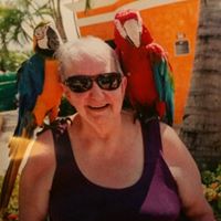 Sandy Wooton's profile image