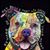 Nelcy Lopez's profile image