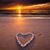 Vienna Griffiths-Sweeden's profile image