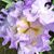 Jill Merritt's profile image