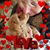 Ann Rottman Hansen's profile image