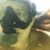 Tiffany Gray's profile image