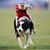 William Ray Bailey's profile image