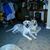Darlene Etchberger's profile image