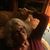 Sue Simon Westendorf's profile image