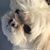 Julee Elkins's profile image