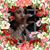Adriana Villarreal's profile image