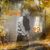 Gale Bostic's profile image