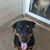 Monie Muscello's profile image