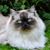 Mary Corrington's profile image