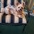Claudia Hein's profile image