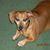 Elizabeth Groce's profile image