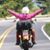 Michelle Trembley's profile image