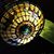 Lehua Wells's profile image