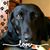 Deb Boan's profile image