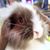 Leslee Merrill's profile image