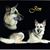 Linda Myers's profile image