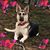 Kathy Dunlap Neal's profile image