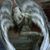 Elena Cabeza's profile image