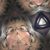 Kevonne Welch-Darnall's profile image