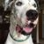 Connie Benline's profile image