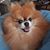 Penny Hall's profile image