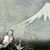 Yuko Ishii's profile image