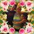 Digna Rodriguez's profile image