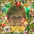Peggy Davis's profile image