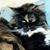 Cathy Adams Boyter's profile image