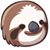 Kurt Rudolph's profile image