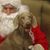 Pamela Hupp's profile image