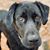 Gretchen Yancey's profile image
