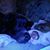 Margie Williams Dooley's profile image