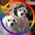 Heather E. Hagen's profile image