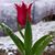 Rose Mary Haquin Bosch's profile image