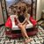Mandy LaFon's profile image
