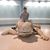 Thinh Pham's profile image
