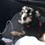 Patty Saenz's profile image