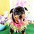 Rachelle Nono-Winningham's profile image