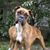 Michelle White Bruner's profile image