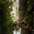 Familia Patle's's profile image