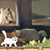 Linda Hoge's profile image
