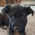 Jill Major Crawford's profile image