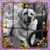 Elaine McMinn's profile image