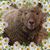 Susie Bowling's profile image