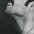 Laith Nadhim's profile image