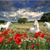 Jeanne Marie Brock's profile image