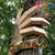Sandra Dee's profile image